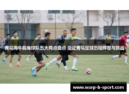 青岛海牛前身球队五大亮点盘点 见证青岛足球历程辉煌与挑战 青岛海牛前身球队五大亮点盘点 见证青岛足球历程辉煌与挑战