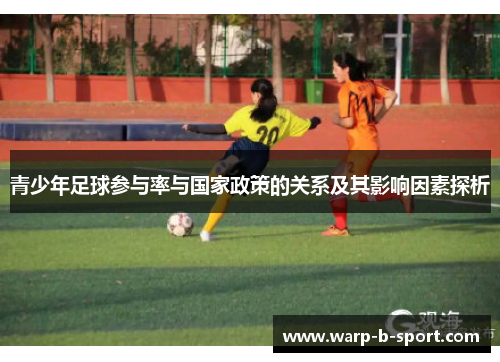 青少年足球参与率与国家政策的关系及其影响因素探析